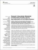 Dynamic Intracellular Metabolic_Díez_PV_Art2021.pdf.jpg