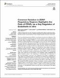 Common_variation_EDN1_OA_2022.pdf.jpg