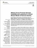 Mitotic_Errors_Promote_Genomi_Edwards_PV_Art2021.pdf.jpg