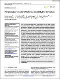 Surface   Interface Analysis - 2022 - Lemos - Morphological behavior of fullerene‐steroid hybrid derivatives.pdf.jpg
