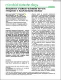 Biosynthesis-of-cofactor-activatable-iron.pdf.jpg
