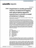 Impairment in novelty‑promoted_Broadbelt_PV_Art2022.pdf.jpg