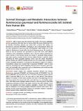 Survival Strategies and Metabolic Interactions_Molinero.pdf.jpg