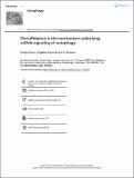 2022-Persulfidation is the mechanism underlying sulfide signaling of autophagy.pdf.jpg