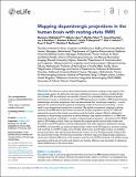 Mapping_dopaminergic_Holdehinkel.pdf.jpg