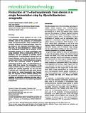 Microbial Biotechnology_Felpeto‐Santero_2021.pdf.jpg
