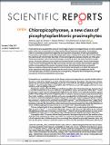 Chloropicophyceae_new_class_2017.pdf.jpg