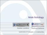 Male Histology.pdf.jpg