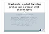 Small scale, big deal.pdf.jpg