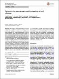 Saavedra et al. - 2017 - Factors driving patterns and trends in strandings of small cetaceans.pdf.jpg