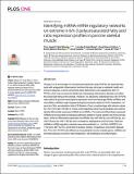 Identifying_miRNA_mRNA_Yabut_Manaig.pdf.jpg