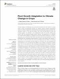 Root_Growth_Adaptation_to.pdf.jpg