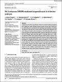RS_1_enhances_CRISPR_mediated.pdf.jpg