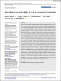Microdiverse bacterial clades prevail across Antarctic wetlands.pdf.jpg