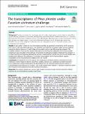 The_transcriptome_of_Pinus_pinaster.pdf.jpg